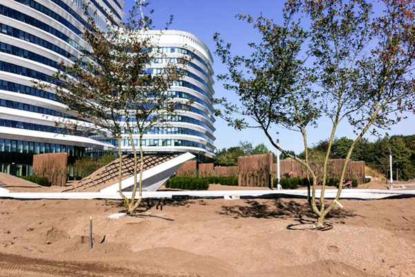 Project stadstuin op da parkeergarage Belastingdienst Groningen