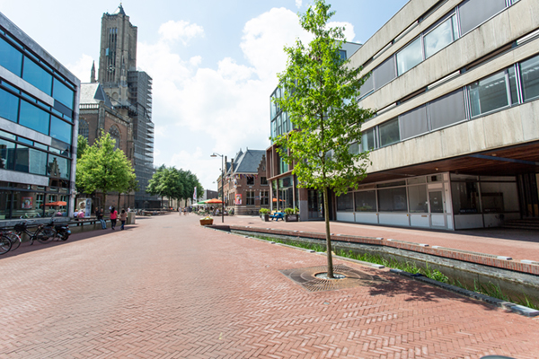 Boombunkers langs Sint Jansbeek Arnhem