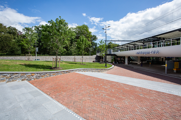 EPS constructie en groen op dak fietsenstalling station Driebergen-Zeist