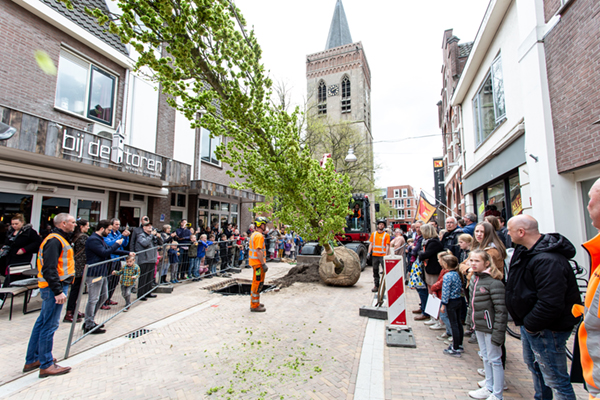 GreenBlue Urban RootSpace boombunkers in centrum Ede