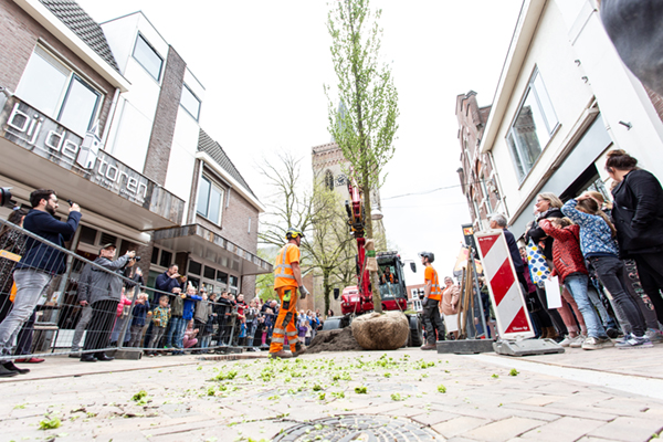 GreenBlue Urban RootSpace boombunkers in centrum Ede