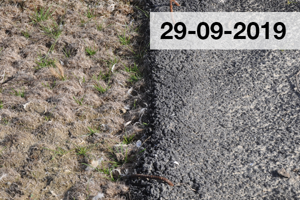 Ecomat K400 natuurlijke erosiebescherming proef in Zeeland Waterschap Deltastromen