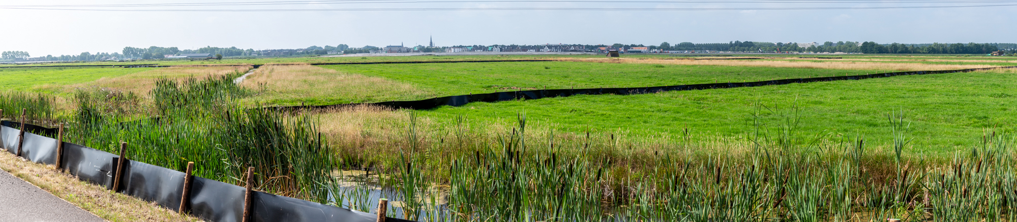 GreenBlue Urban ReRoot 2000 Wortelwering beschermt Rugstreeppad tijdens bouw