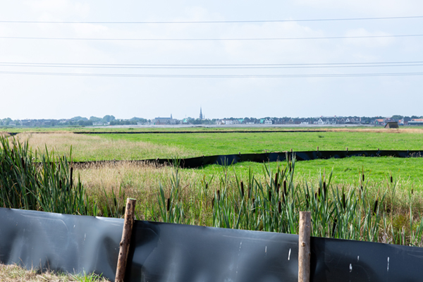 GreenBlue Urban ReRoot 2000 Wortelwering beschermt Rugstreeppad tijdens bouw