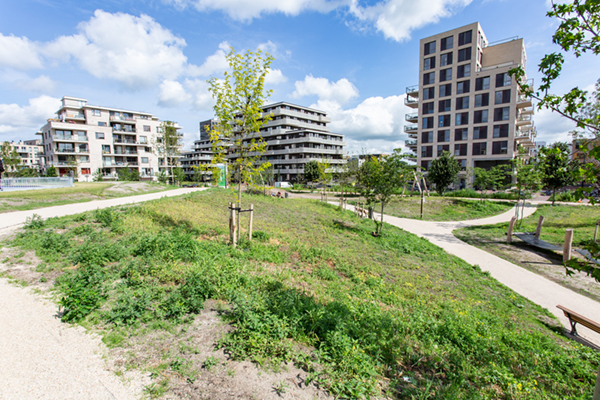 EPS constructie en gewapende grondconstructie voor skatepark amsterdam