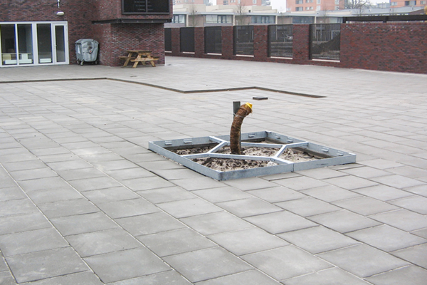 De eerste treebox in Nederland, 15 jaar later evaluatie door gemeente Apeldoorn en Joosten Kunststoffen