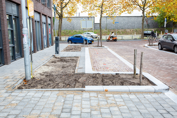 Gemeente Breda pakt hittestress aan met groeiplaatsen voor duurzaam groen