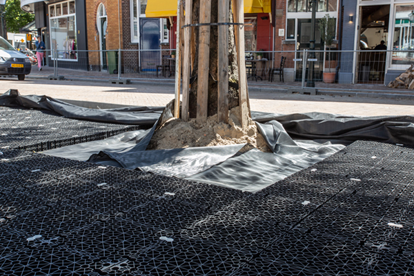 AquaMulti Airbox beschermt bestrating tegen wortelopdruk in Den Haag Statenkwartier