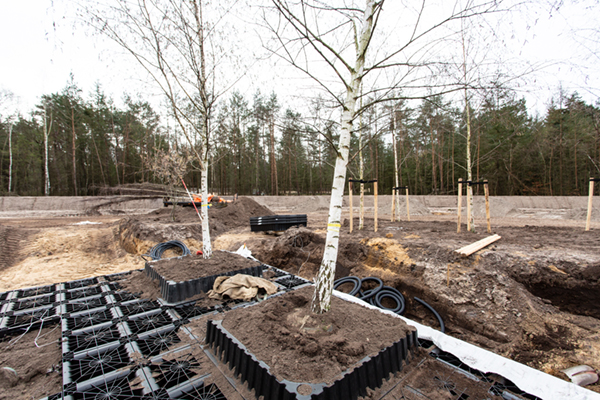 RootSpace boombunker op Nationale Veteranenbegraafplaats Loenen
