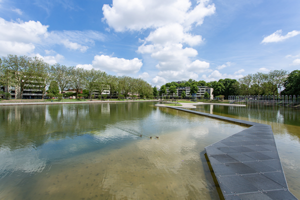 Tilburg verduurzaamt vijver Kromhoutpark met aanleg vijver met PVC vijverfolie