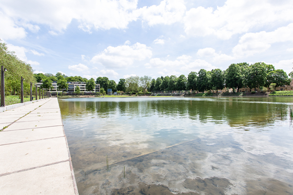 Tilburg verduurzaamt vijver Kromhoutpark met aanleg vijver met PVC vijverfolie