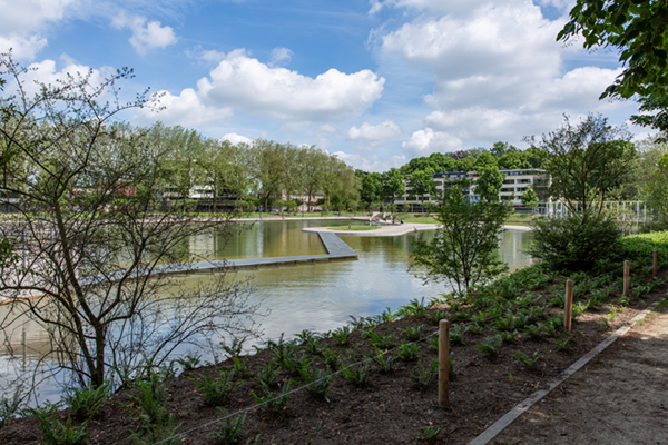 Tilburg verduurzaamt vijver Kromhoutpark met aanleg vijver met PVC vijverfolie