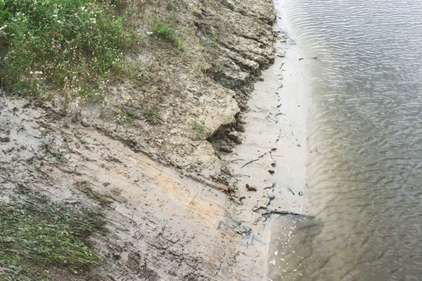 Anti-erosiemat Ecomat K400 beschermt oevers tegen erosie
