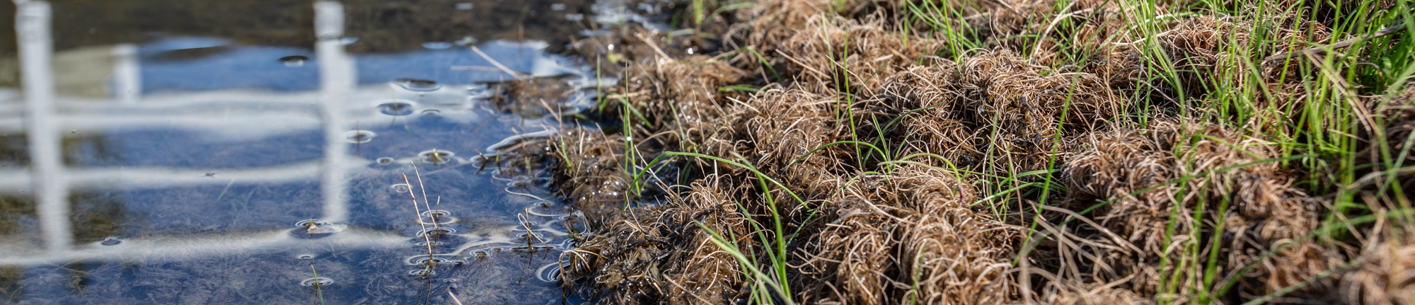 Anti-erosiemat Ecomat K400 beschermt oevers tegen erosie