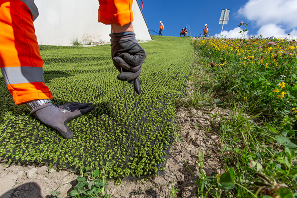 TenCate Geolon Robulon PE1000 erosiebescherming Taluds Zeesluis IJmuiden